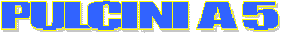Regolamento Pulcina a 5
