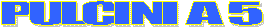Regolamento Pulcina a 5
