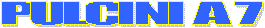 Regolamento Pulcina a 7